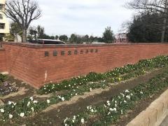 緑丘小学校