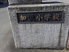 加悦小学校