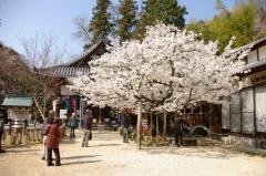 西法寺