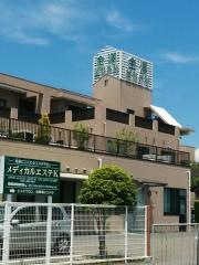 金澤整形外科