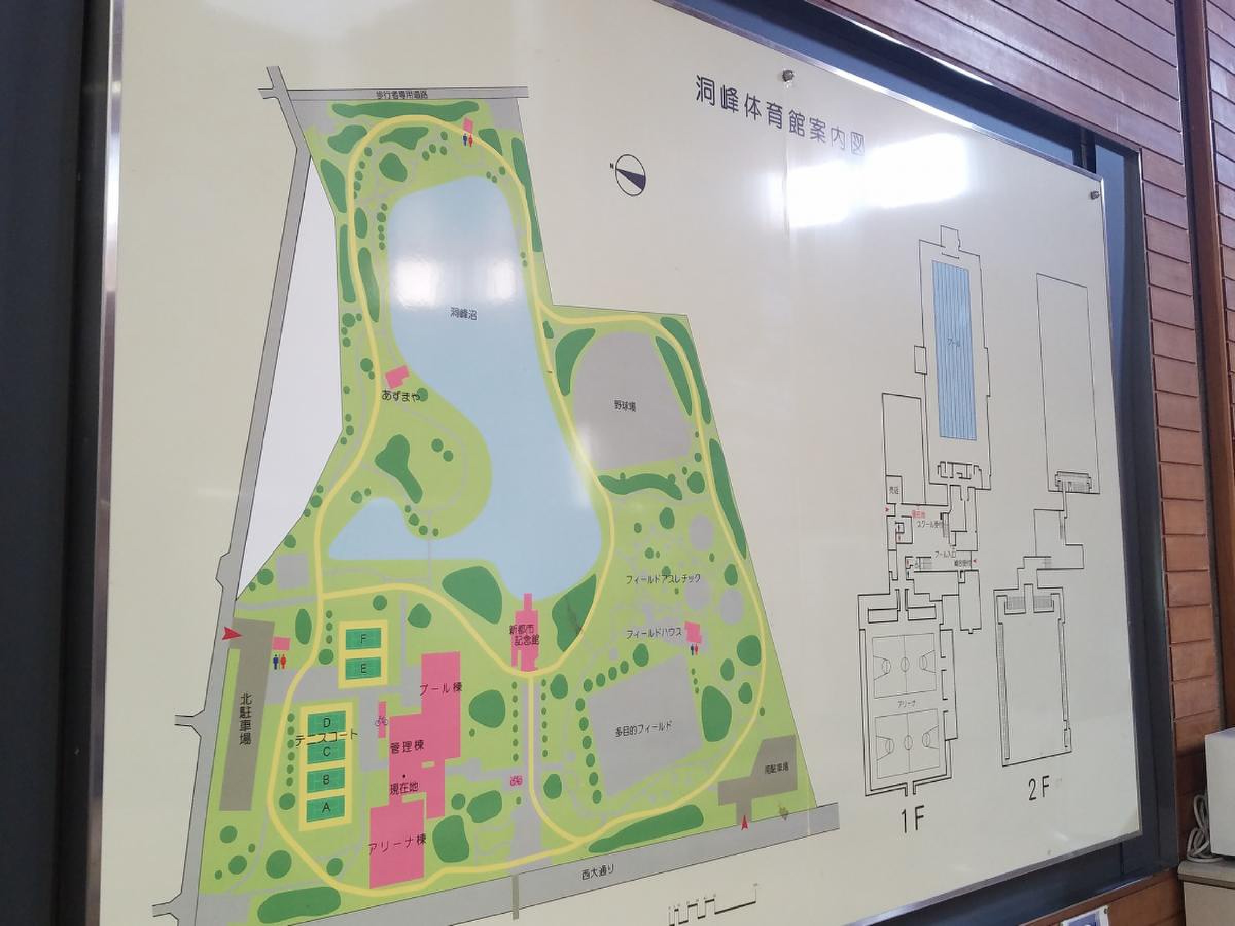 洞峰公園屋内水泳プール／ホームメイト