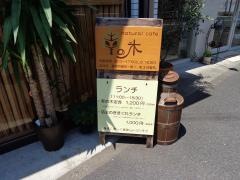 幸の木