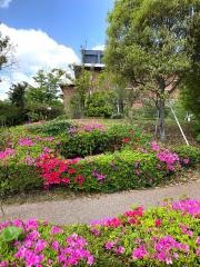 兵庫医療大学大学院