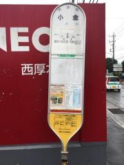 「小金」バス停留所