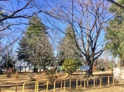 北利根北公園