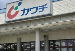カワチ薬品　小山東店