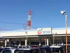 カワチ薬品　小山東店