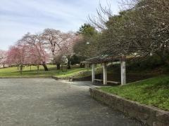 大谷近隣公園