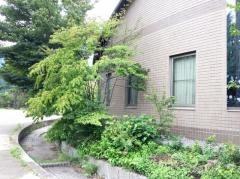 川上村文化センター図書館