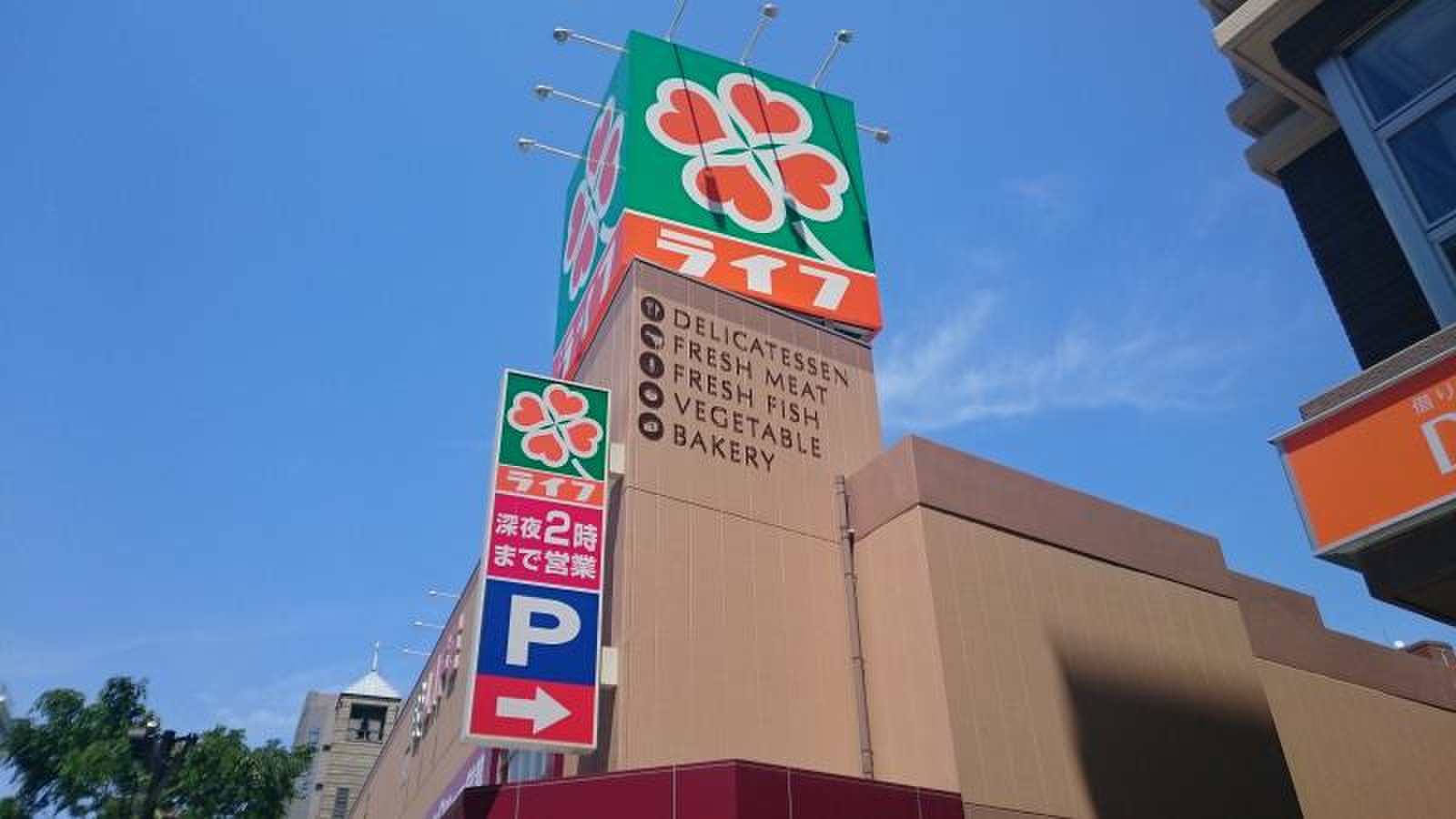 活動歴および当時の関連ビジュアル記録