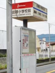 「田隈小学校前」バス停留所