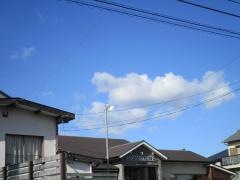 支留比亜珈琲　森林公園通り店