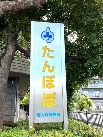 たんぽぽ