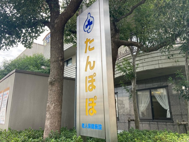 たんぽぽ