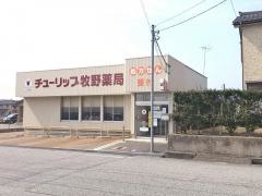 チューリップ牧野薬局