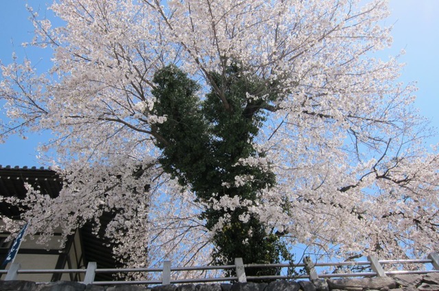 施設写真103