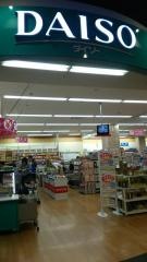 ザ・ダイソー　イーアスつくば店