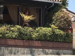 トップワン