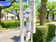 「市民会館入口」バス停留所