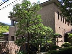 箱根小涌園　美山楓林