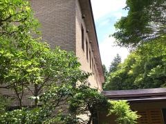 箱根小涌園　美山楓林