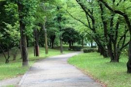 八条親水公園