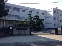 西益津小学校