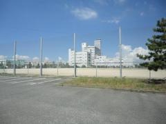 りんくう中央公園