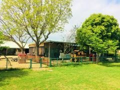 もりやまこども園（認定こども園）