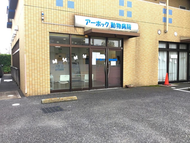 投稿写真2