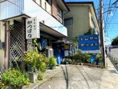 とんかつかつはな