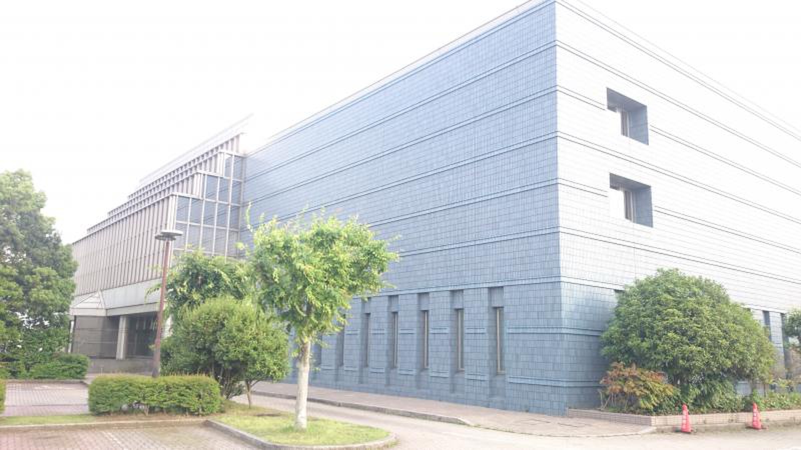市川 市 図書館