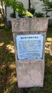 チカモリ遺跡公園