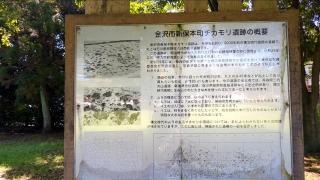 チカモリ遺跡公園