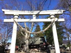 白鳥神社