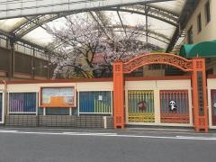 太成学院大学天満幼稚園