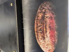 平家の郷宮崎東館