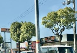 吉野家　1号線枚方店