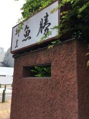 魚勝