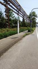 「東高洲町」バス停留所