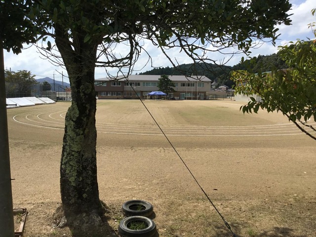 投稿写真7