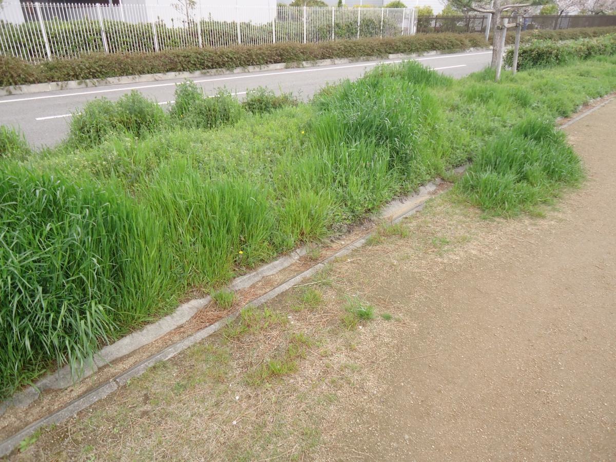 りんくう吉見北緑地です。