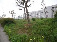 りんくう吉見北緑地