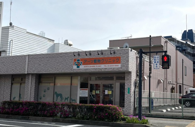 投稿写真1