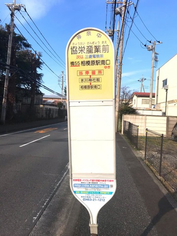 投稿写真4