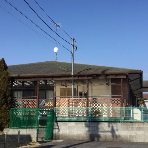 たんぽぽ