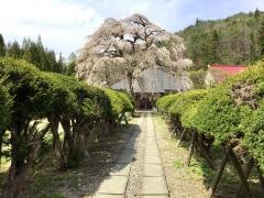 南泉寺