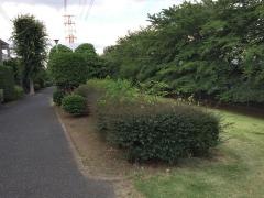 吉田新町緑地
