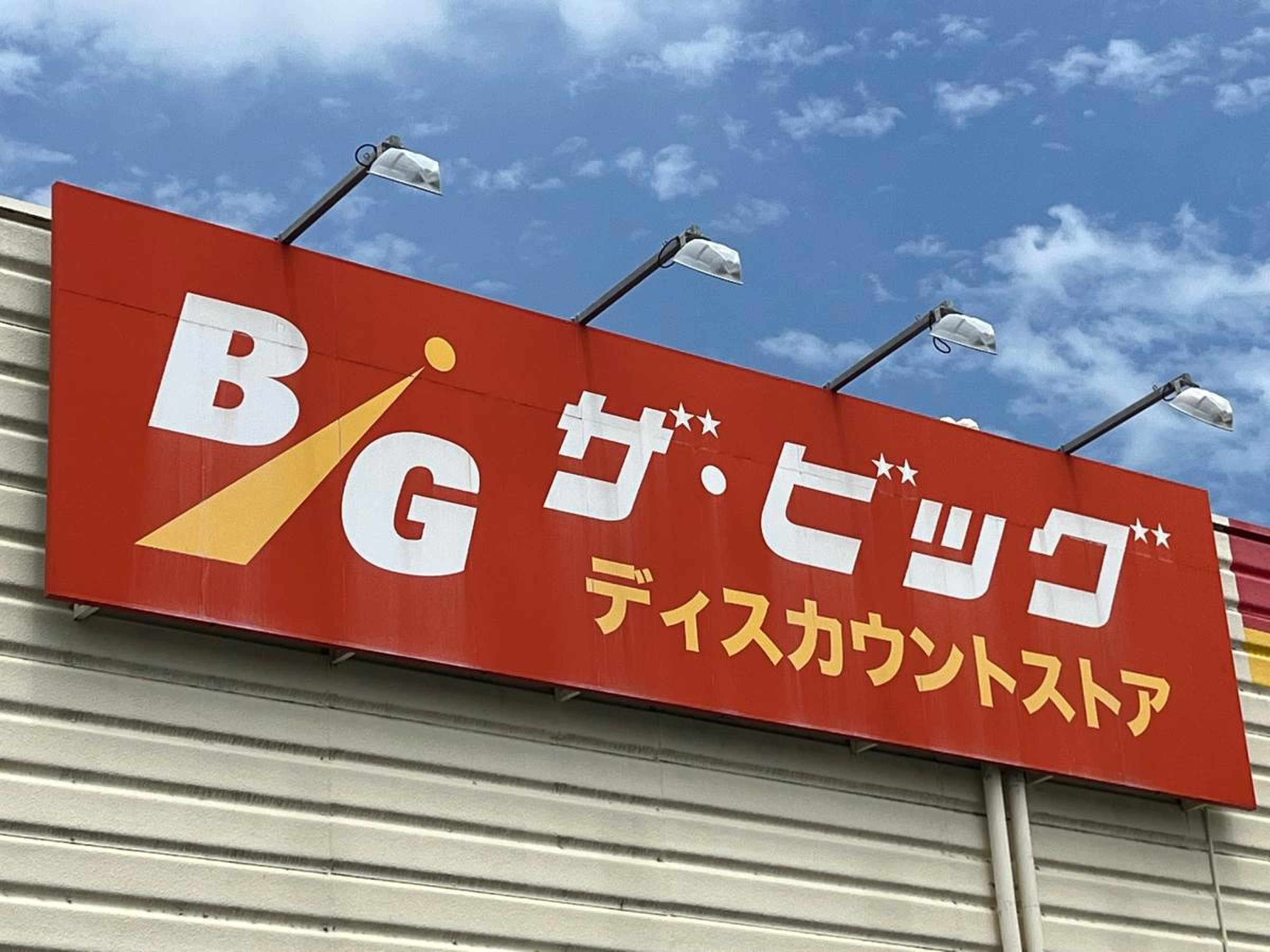 ザ ビッグ 五日市 店