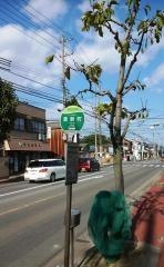 「東新町」バス停留所
